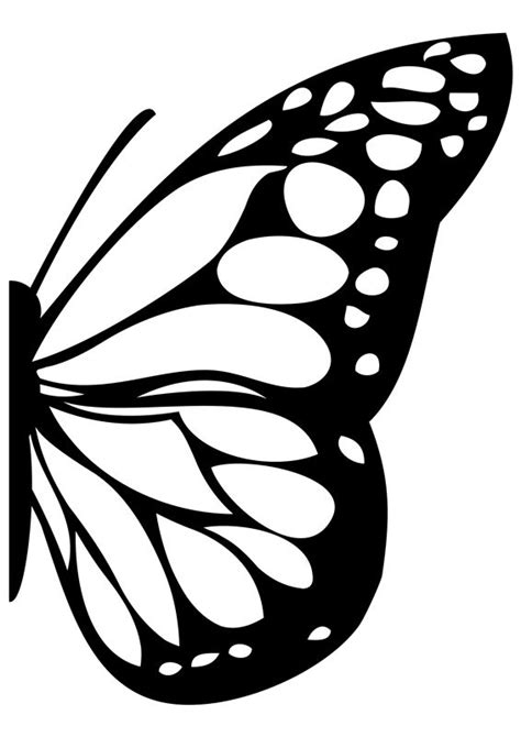 Wall Decals Butterfly Wing Art Without