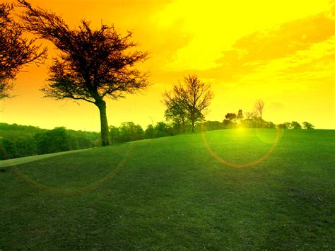 Wallpaper Nature Grassland Sky Green Field Atmosphere Morning