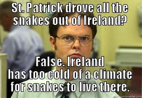 10 Funny St Patricks Day Memes To Make You Laugh On This Irish Holiday
