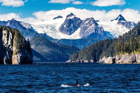 The 17 Best Things To Do In Seward Alaska • Valerie And Valise
