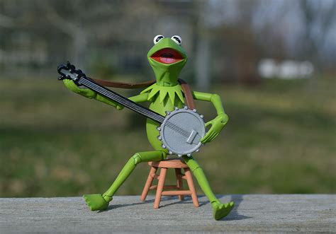 Free Images Music Green Playing Musician Frog Amphibian Toy