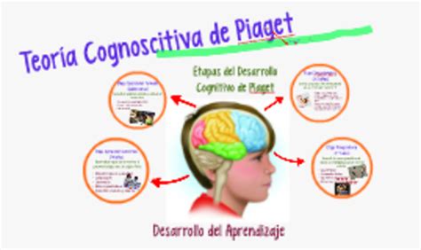 Jean Piaget Teorias Del Aprendizaje Desarrollo Cognitivo Jean Piaget