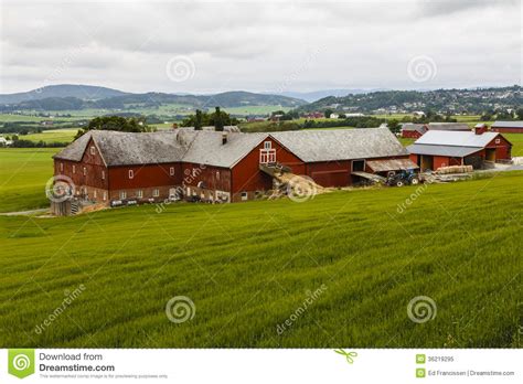 Agriculture In Norway. Royalty Free Stock Photo - Image ...