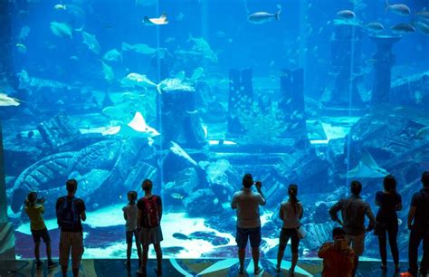 Lost Chambers Aquarium Dubai Info About Lost Chambers Dubai