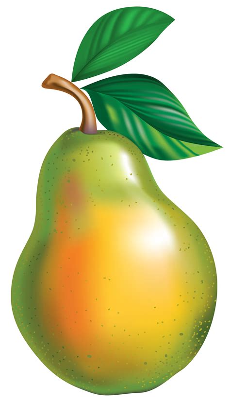 Asian Pear Fruit Clip Art Pear Png Download 23674144 Free