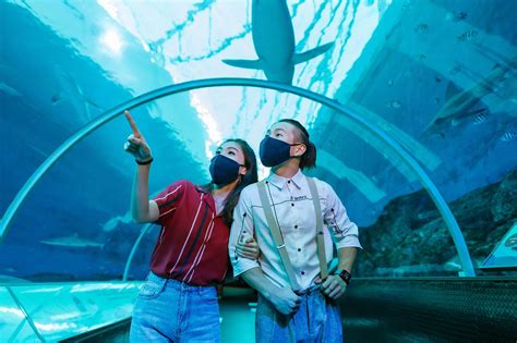 Sea Aquarium Ticket Price And The Latest Update 2022