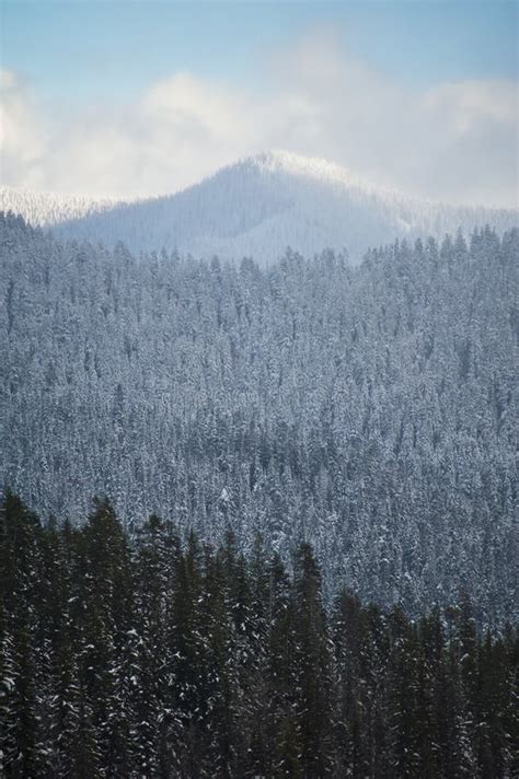 Snowy Mountain Range Stock Photo Image Of Summit Landscape 13032928
