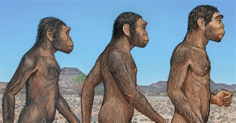 Groundbreaking Fossils Of 3 Different Human Species Found In Same Location The Vintage News