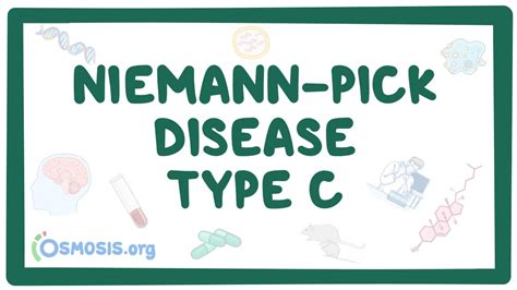 Niemann Pick Disease Type C Video And Anatomy Osmosis