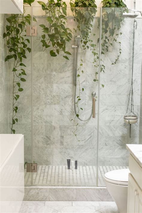 Plants Inside Your Shower Shower Renovation Shower Plant Bathroom