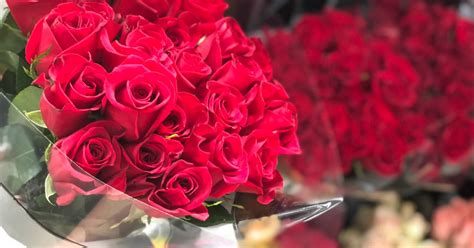 Choose the perfect bouquet or single red rose & add a message. 50 Valentine's Day Roses Only $49.99 Delivered (Pre-Order ...