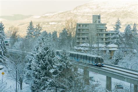 Translink Activates Its Snow Plan For Severe Weather Indo Canadian Voice