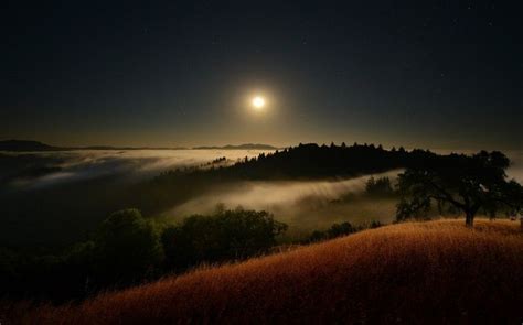 Moon Moonlight Starry Night Mist Hill Clouds Trees Grass Valley