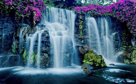 Waterfall In Hawaii Hd Wallpaper Background Image 1920x1200