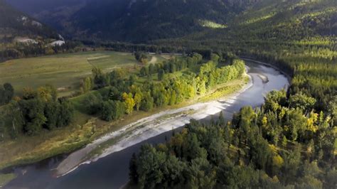 Bc Stalling On New Rules For Selenium Pollution From Coal Mines