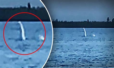 Loch Ness Monster News Nessie Creature Snapped In Lake Khanto