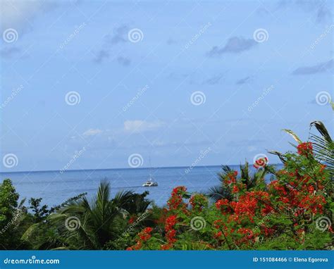 Sea And Yacht On The Background Of Tropical Vegetation Stock Photo