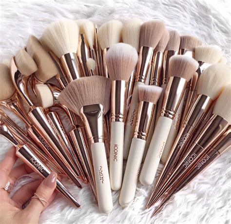 The 5 Makeup Brushes Everyone Needs Life With Me