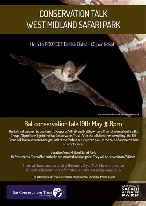 Bat Conservation Trust Safari Park Staff Go Batty For Bats