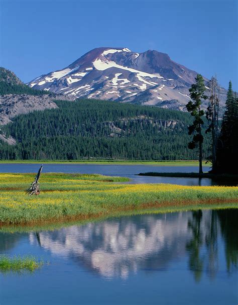Usa Oregon Deschutes National Forest Photograph By John Barger Pixels
