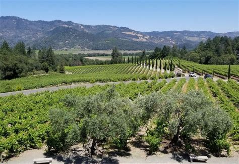 Day Trip To Calistoga In The Northern Napa Valley