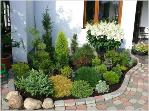 40 Stunning Evergreen Landscape Ideas For Front Yard Garden Shrubs