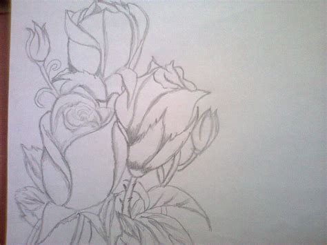 14 best corak bunga images art white flowering. LaKaRaN KeHiDuPaN: ~~Lukisan bunga-bungaan~~