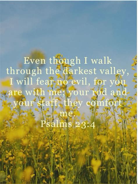 Psalms 103 19 the lord has established his throne in heaven and his
