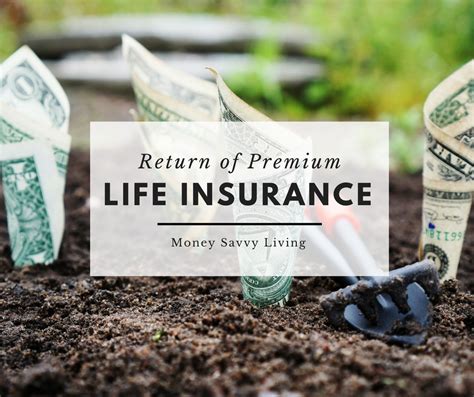 What Is A Return Of Premium Life Insurance Policy And Why You Should