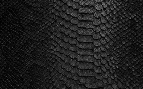 Black Snake Leather Texture Snake Skin Background Cobra Texture Black Creative Background