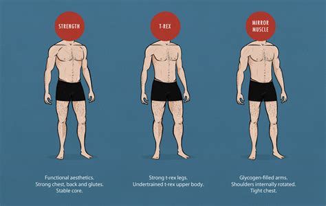 Muscular Balance And The Ideal Male Physique — Bony To Beastly