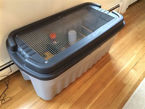 Cat Proof Indoor Brooder Backyard Chickens Learn How To Raise Chickens