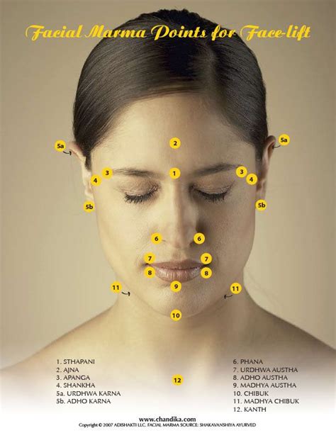 Facial Marma Points … Facial Massage Points Acupressure Treatment Shiatsu Massage