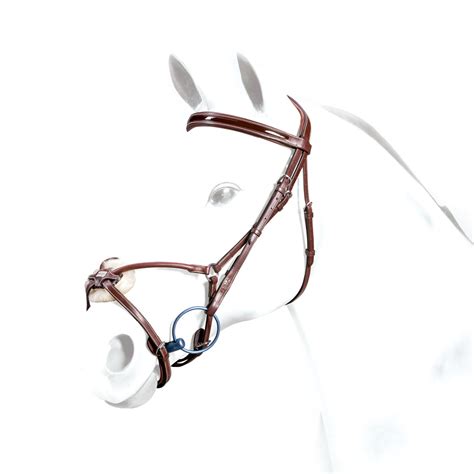 Equipe Zaum aus Leder BR33 - jetzt einkaufen | HorseBoutique