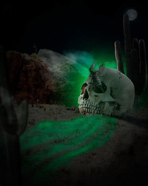 Artstation Skull Desert Manipulation