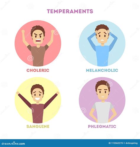 People Temperaments Set Stock Vector Illustration Of Isolated 115562270