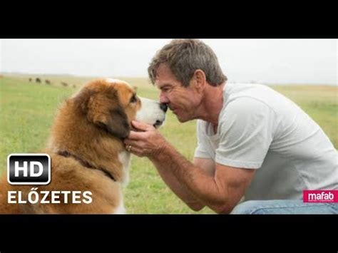 Bruce cameron bestsellere alapján készült, szívet melengető film a nagy sikerű egy kutya négy élete folytatása. A Kutya Négy Útja Online Film : Egy Kutya Negy Utja The Dog S Journey 2019 Film ...