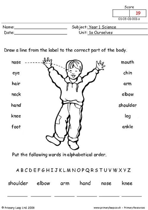 10 Best Images Of Computer Labeling Worksheets With Answers Label