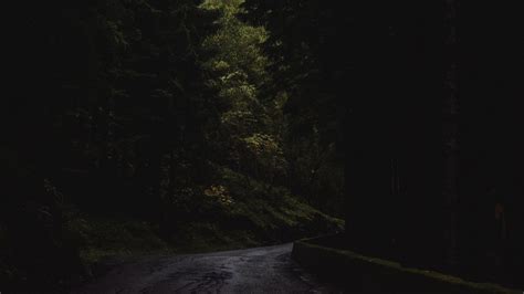 Road Between Trees Forest During Nighttime 4k Hd Nature Wallpapers Hd
