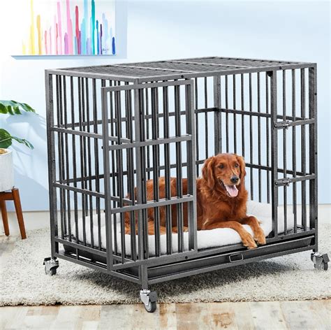 The 6 Best Crates For Large Dogs Dogs Experts