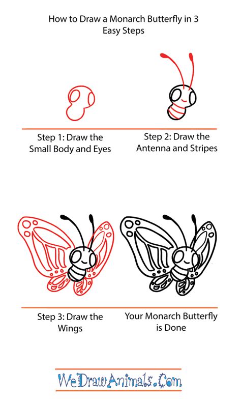 How To Draw A Cute Monarch Butterfly