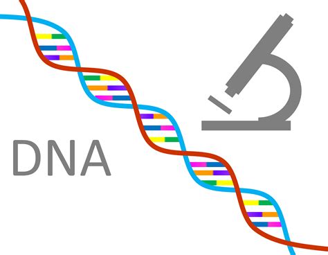 Genetics Conceptual Drawing Free Image Download