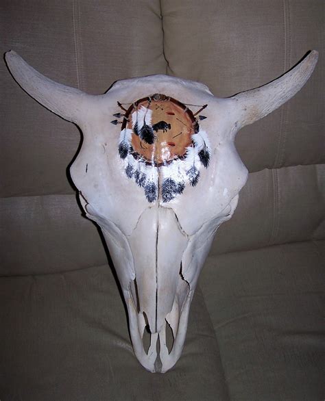 Buffalo Skull I Painted Skull Painting Buffalo Skull American