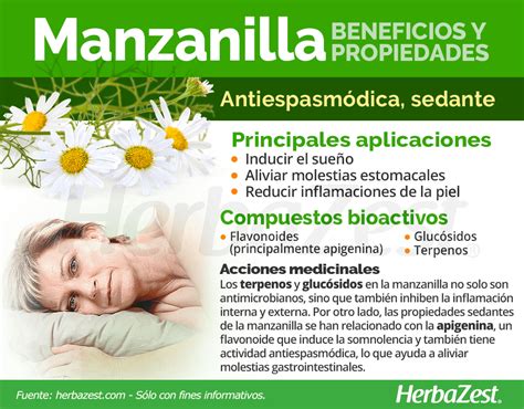 Beneficios De La Manzanilla Para La Salud Pronapresa My Xxx Hot Girl