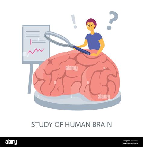 Study Of Human Brain Concept On White Background Flat Design Vector