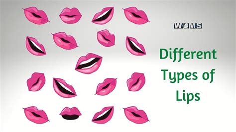 5 different types of lips how to make your lips look good woms