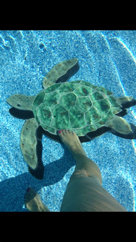 Natural stone which is dense is good for pool applications however lightweight or porous natural stone may. Pin on For the Home