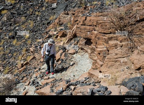 A Geologist Studying Rock Outcrop Oman Stock Photo Alamy