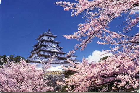 Japanese Castle Desktop Wallpapers Wallpapersafari