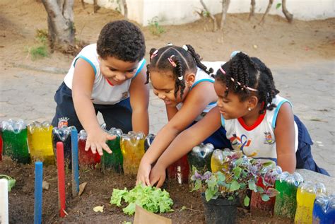 a importância de projetos de horta escolar dentro da educação ambiental pensamento verde